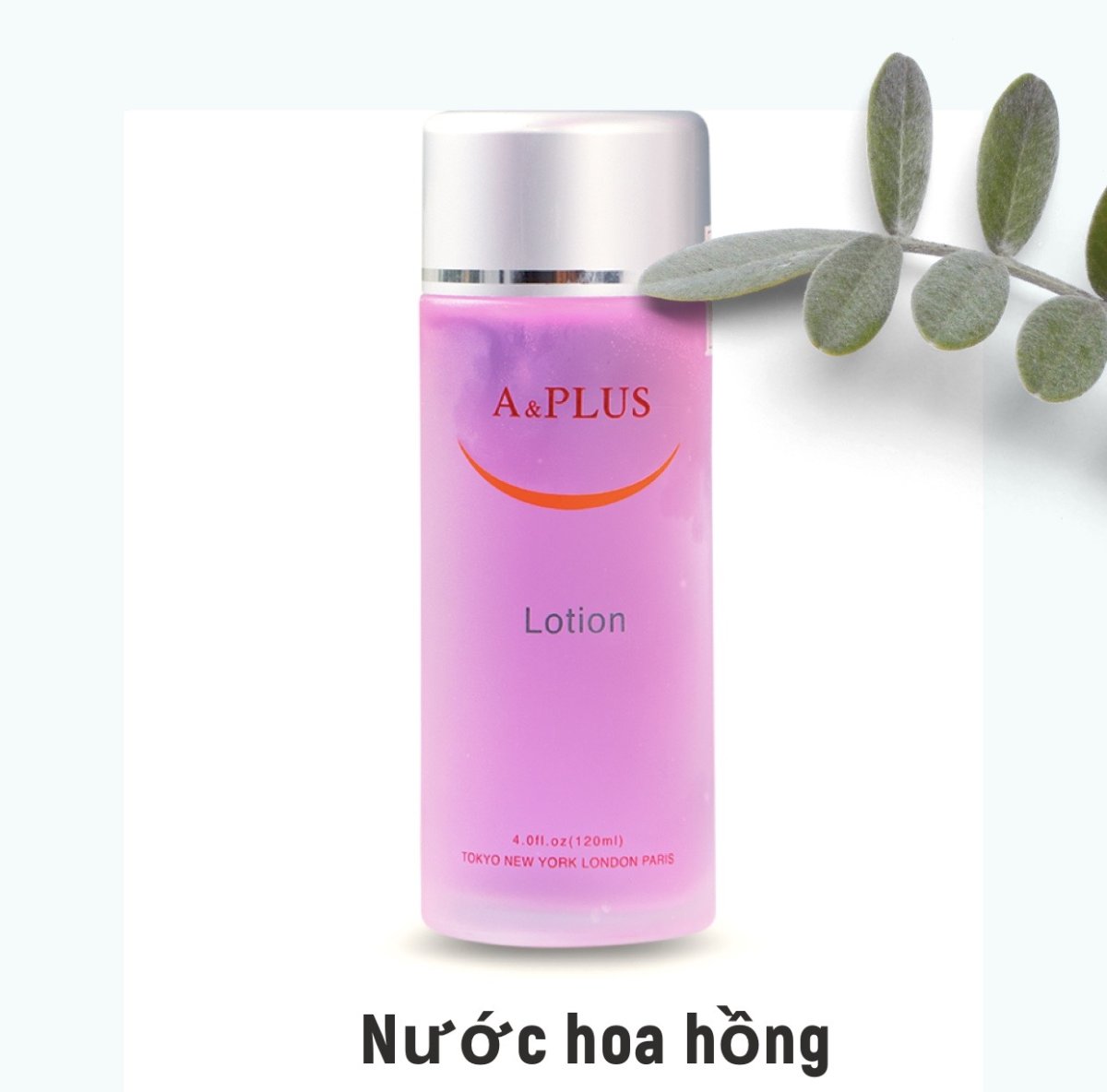 LOTION - Nước hoa hồng 120ML